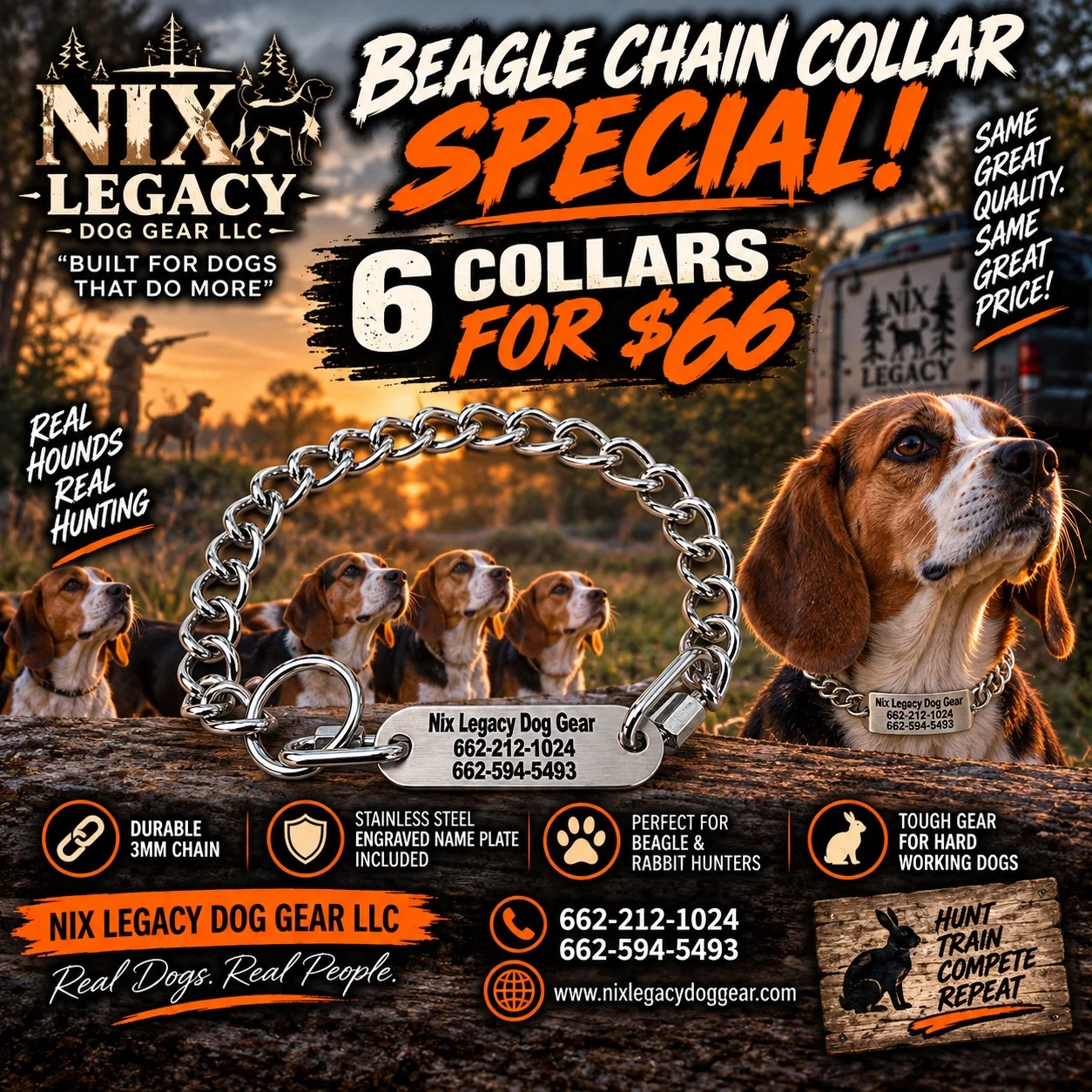 Beagle chain collar promotion
